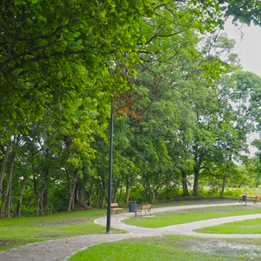 Sakończył się projekt zagospodarowania terenu parku przy ul. Korfantego w Prószkowie. „W ramach projektu powstało nowe miejsce dla mieszkańców Prószkowa, które wyposażone zostało w ławki, ścieżki, oświetlenie, a także stół do gry w szachy”.